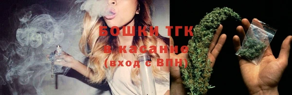 2c-b Горно-Алтайск