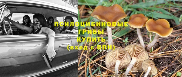 альфа пвп Горнозаводск