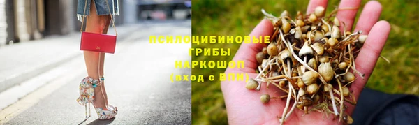 хмурый Горняк
