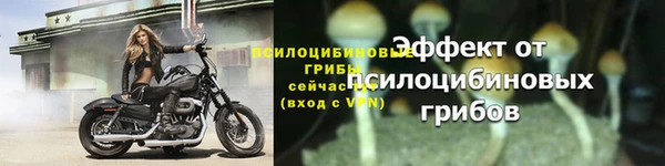 альфа пвп Горнозаводск