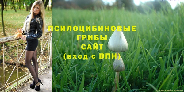 хмурый Горняк