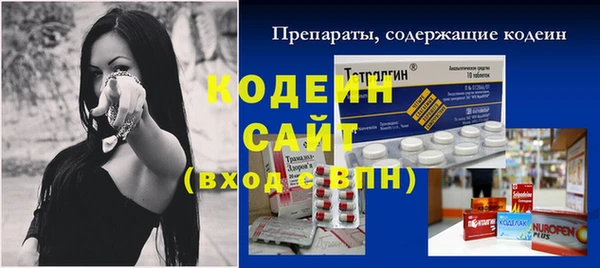 2c-b Горно-Алтайск