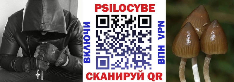 Купить где  Бежецк  Галлюциногенные грибы ЛСД 